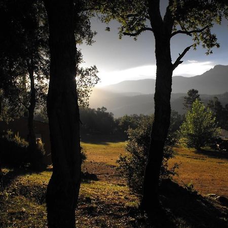 Camping Maçanet de Cabrenys Esterno foto