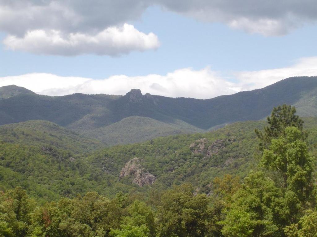 Camping Maçanet de Cabrenys Esterno foto