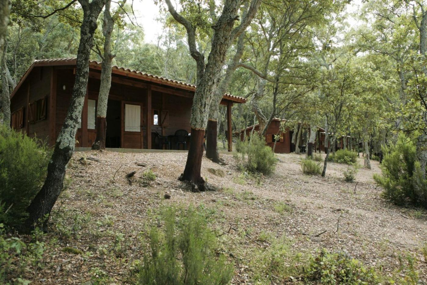 Camping Maçanet de Cabrenys Esterno foto